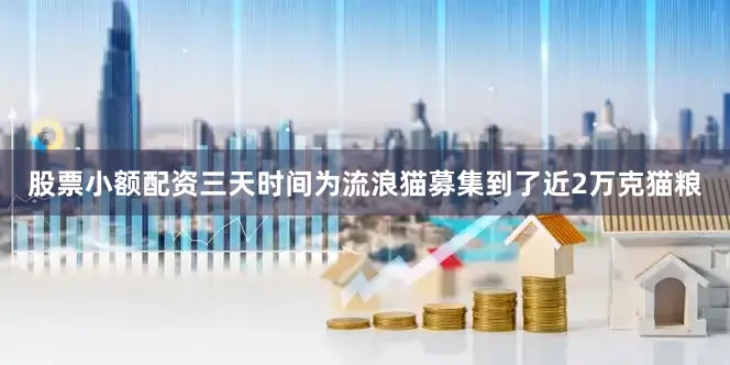股票小额配资三天时间为流浪猫募集到了近2万克猫粮