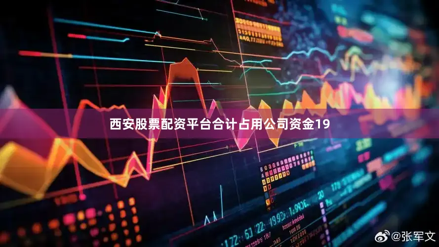 西安股票配资平台合计占用公司资金19