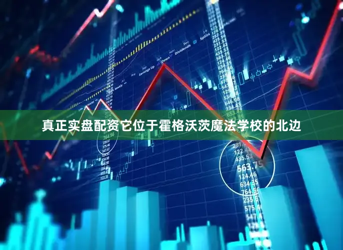 真正实盘配资它位于霍格沃茨魔法学校的北边